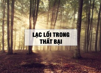 Làm sao để thôi lạc lối trong thất bại?