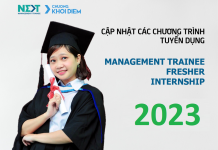 tong hop chuong trinh tuyen dung management trainee fresher internship 2023